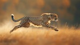 Dynamic shot of a cheetah in mid-leap against a blurred background.