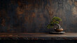 © Hoss - a moody and dark 4k environment with a dark wood shelf with japanese engravings, the shelf is empty except for a single beautiful bonsai, product photography setup