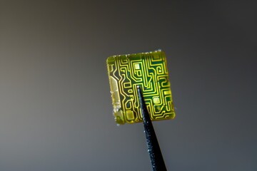 Poster - intricate maze of high tech microchip circuitry a futuristic glimpse into the digital world