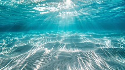 Underwater landscape illuminated by sunlight