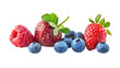 © NansiPhoto - Fresh Mix groups of Berries