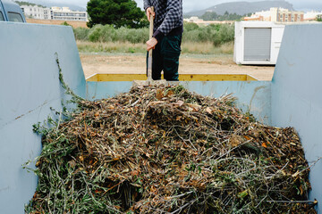 Wall Mural - man throws plant remains into a large container