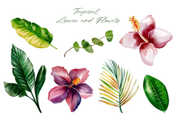 Wall Mural - Watercolor tropical flowers and leaves. Set of exotic leaves. Palm leaves. Hand drawn floral illustration.