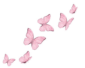 Wall Mural - Pink watercolor butterfly hand drawn design vector art