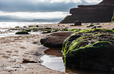 Sandy beach with red cliff, at a Jurassic coastal bay. Cloudy day. Reflections in the rock pools covered in seaweed. Serine calm capture. Copy space.