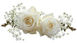 © PerfectPhoto - White roses on white background