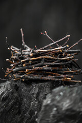 Poster - Depiction of a nest's construction in stages, from a loose pile of twigs to a tightly woven structure.