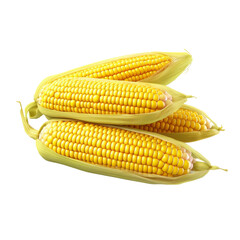 Wall Mural - 3D yellow corn cobs isolated on transparent background, png, cut out