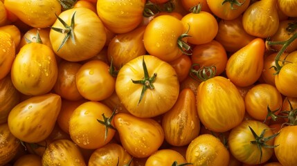 Wall Mural - A Pile of Yellow Tomatoes