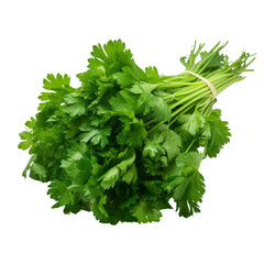 Sticker - A bunch of parsley isolated on transparent background, png, cut out