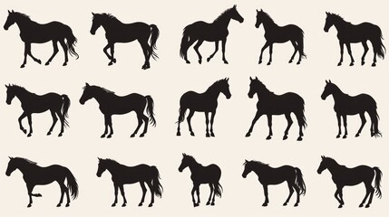 Poster - Set of horse silhouettes on white background, suitable for various design projects
