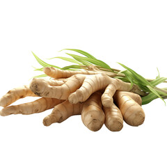 Wall Mural - A ginger root isolated on transparent background, png, cut out