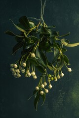 Poster - A bunch of mist hanging from a tree branch. Suitable for nature and mystical themes