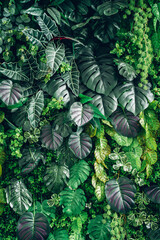 Wall Mural - Close-up of a group of green leaves, providing a textured and abstract nature background. Rich foliage textures, exotic greenery, and botanical patterns..