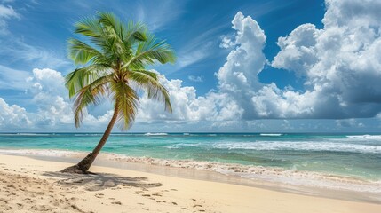 Wall Mural - Majestic Palm Tree Dancing Under Clear Blue Skies