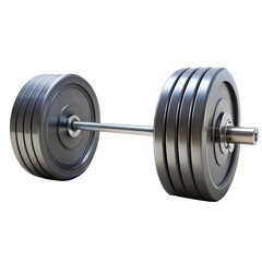 Poster - A black weight bar with a black rubber plate on each side. The bar is long and thick