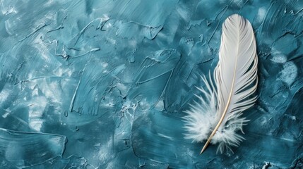 Wall Mural - A white bird feather against a blue background.





