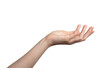 © valiantsin - White empty hand of woman, female gesture. Isolated arm hold palm, open finger up take sign. Give business showing human object, side close young wrist. Space women, one right detail catch clear help.