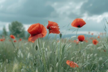 Canvas Print - bright flowers on a white background