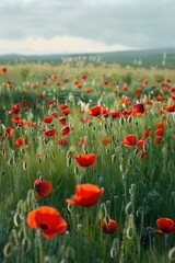 Canvas Print - bright flowers on a white background