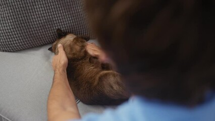 Wall Mural - A man gently pets a relaxed siamese cat on a gray sofa in a cozy living room setting