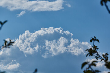 Landscape. Cloudy sky. Photo from a walk in the garden outside the city.