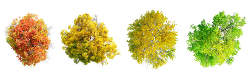 Fototapete - Different seasons deciduous trees top view collection isolated on transparent background. 3D render.