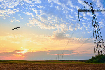 High voltage electric pole and transmission lines. Electricity pylons at sunset and clouds. Bird flying over a field with power lines. Power and energy. Tower with wire cable at distribution station