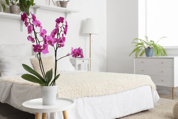 orchid flower on table in bedroom