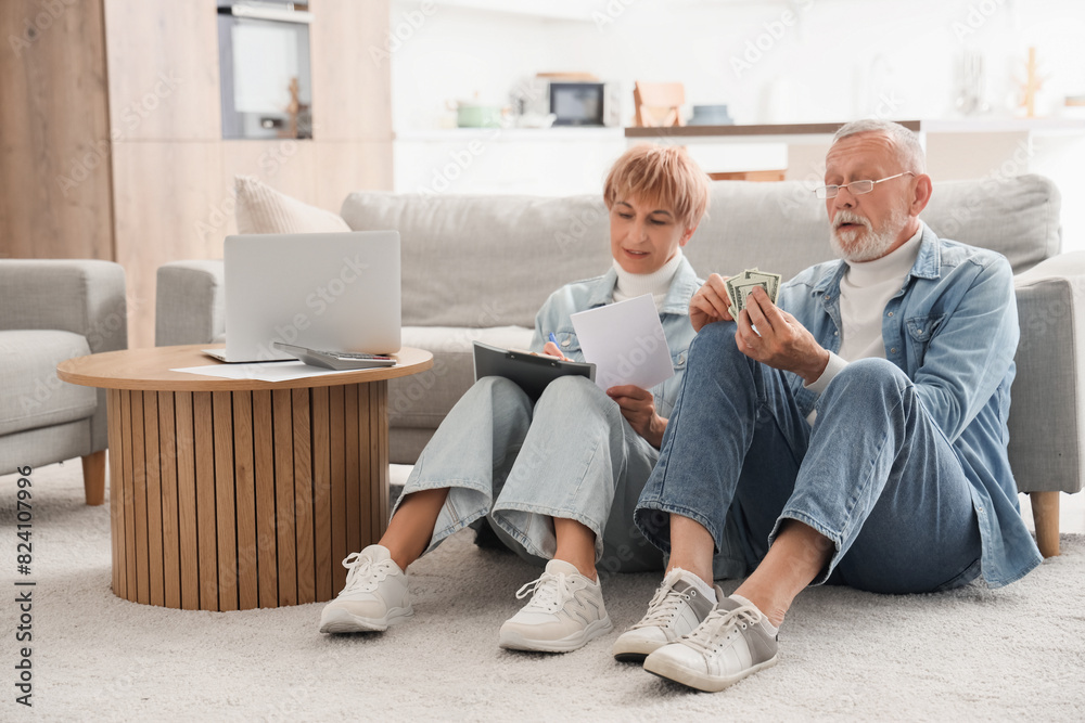 Mature couple keeping cash records at home