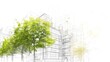 © artbot - Drawing 3d architecture city building sketch lines with green tree on white background