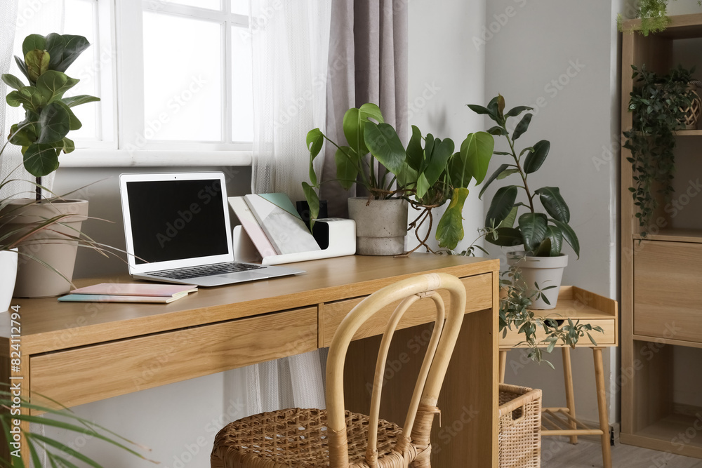 Workplace with laptop and green plants near window in office
