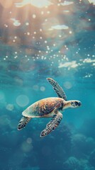 Wall Mural - Turtle swimming in the ocean with copy space. World turtle day
