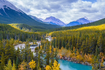 Wall Mural - Kootenay Plains