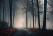 © Janos - A foggy forest path with tall, leafless trees on either side. The ground is covered with fallen leaves, and the atmosphere is eerie and mysterious.
