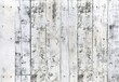 © Chand Abdurrafy - White wood background texture with vintage concept