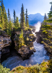 Canvas Print - Athabaska Falls