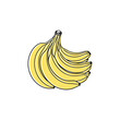 © rasagama - simple illustration a bunch banana fruit