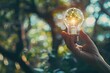 © JK_kyoto - Close up of a hand holding a light bulb with a tree growing inside