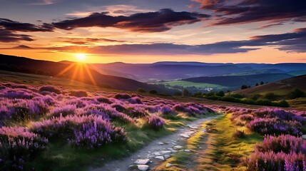 Wall Mural - Scenic view of blooming heather on the Long Mynd, Shropshire, England in the evening