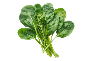 Poster - Spinach isolated on white background