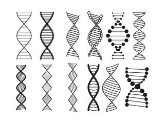 Spiral DNA Vector Set