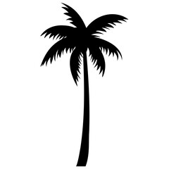 Wall Mural - Palm trees silhouettes tropical summer. Palm tree icon.