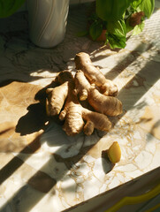 a photo of ginger on a kitchen desk photographed