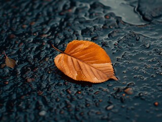 Sticker - Autumn leaf on wet ground