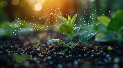 Poster - an image of a sprouting seedling next to an upward-trending line graph, representing the beginning o