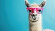 © najeeb - Funny funny llama with pink sunglasses. Portrait on blue background.