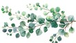© RocknRoller Studios - Beautiful Watercolour Eucalyptus Branch. Delicate Illustrated Nature Artwork.