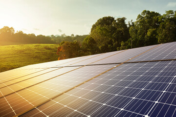Wall Mural - solar panels and green nature, renewable energy. sustainable energy to businesses, homes, and smart 