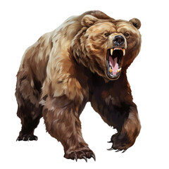 Wall Mural - drawing of an aggressive grizzly bear isolated on a transparent background